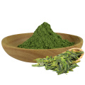 Polvo de té verde matcha natural premium